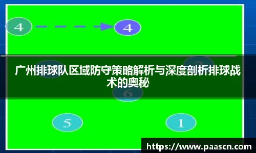 广州排球队区域防守策略解析与深度剖析排球战术的奥秘