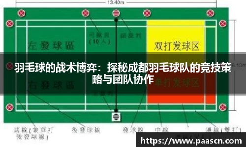 羽毛球的战术博弈：探秘成都羽毛球队的竞技策略与团队协作
