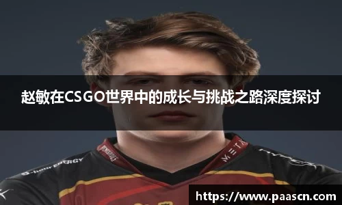 赵敏在CSGO世界中的成长与挑战之路深度探讨